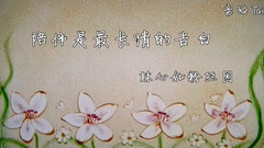 林心如 - 陪伴是最长情的告白