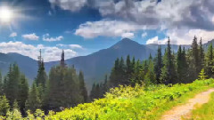 印度群星 - Aye Watan Tere Liye