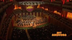 2017北京新年音乐会 圆舞曲 蓝色多瑙河