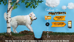 让我放开你的金毛猎犬