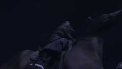 孤芳之娉婷目睹楚北捷以一敌百受重伤