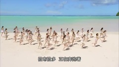 AKB48 - 拉布拉多獵犬