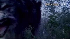 孤芳不自赏剧透45