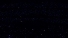 NANA MIZUKI YOYOGI STADIUM BONUS