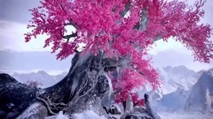 影视原声 - 电视剧<幻城>释为救哥哥化成霰雪鸟