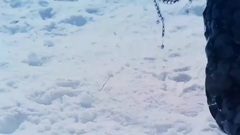 影视原声 - 电视剧<幻城>独家花絮:马天宇再次登场化身剑灵与众人团聚