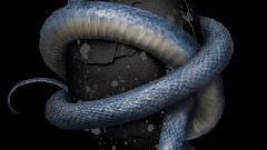 Shinedown - How Did You Love