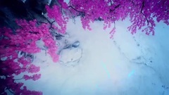 影视原声 - 电视剧<幻城>樱空释与哥哥反目成仇