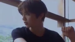 鹿晗 - 你为什么喜欢鹿晗