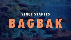 Vince Staples - BagBak