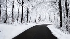 Secret Garden. Sanctuary