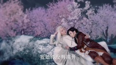 影视原声 - 电视剧<幻城>之梨落不告而别