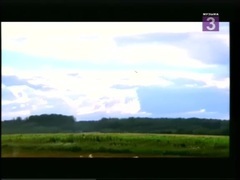 Это здорово