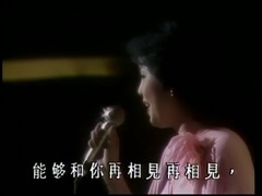 邓丽君 - 对饮双人