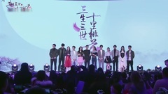 电视剧<三生三世十里桃花>发布会之媒体采访环节