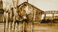 企业宣传片纯音乐