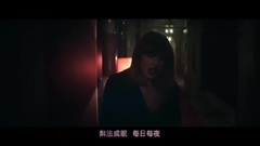 Taylor Swift,Zayn Malik - 赞恩 ZAYN l 泰勒丝 Taylor Swift - 无爱不活 I Don't Wanna Live Forever(中文上字MV)
