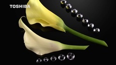 东芝高清演示片