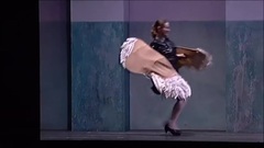 Der Ring Des Nibelungen