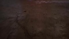 Asian Glow 预告版