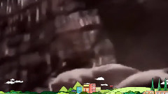 狂野动物大世界