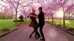 Сальса в аллее сакур