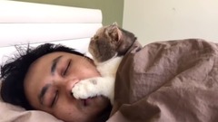 主人我想对你说