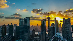 自然与智慧的完美