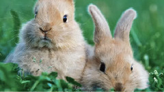 朋友又在朋友圈里秀恩爱,现在都流行这种方法么?转来给大家看看