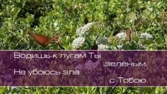 Водишь к лугам Ты зелёным