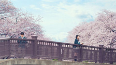 影视原声 - <君の膵臓をたべたい>特報