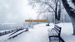 我和我追逐的梦(星夜兼程)