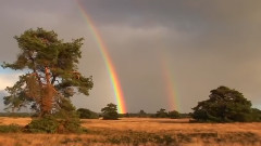 Любовь Христа