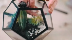 Флорариум с нуля Идеи для жизни