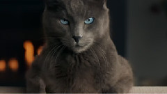 Пять причин