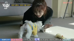 少女时代,徐玄(少女时代) - 独自生活会怎样 EP2