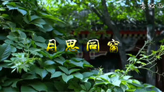 董文华 - 月思同窗