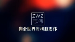 赵志伟安利视频