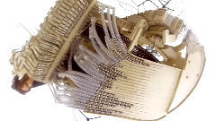 用2000颗钢珠演奏的美妙音乐