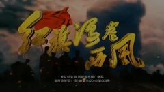 影视原声 - 红旗漫卷西风