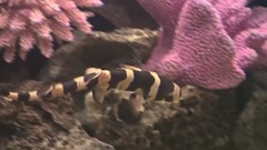 异国海洋水族馆1-2