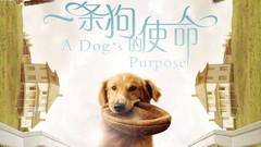 影视原声 - 电影《一条狗的使命》