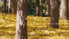 文芃芃 - 文芃芃