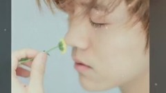 鹿晗 - 你有没有见过他