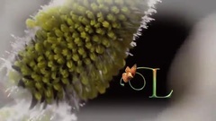 Giovanni Marradi - Hello Spring