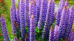 Every Time I Look Into Your Eyes