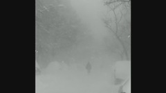 Camila Cabello,Cashmere Cat - Love Incredible