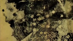 At the drive in - Incurably Innocent