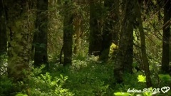 Michel Pépé - Au Coeur De L'Eveil