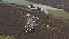 Stamatis Spanoudakis - Conquests